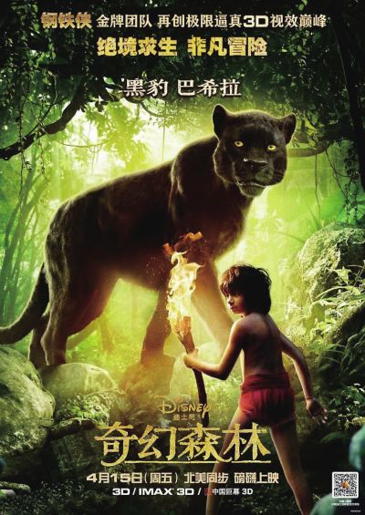仿制南卡罗来纳州驾驶执照